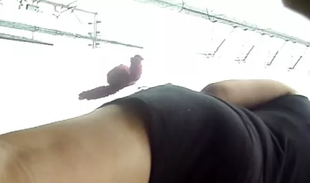 のBunda com 紗 倉 まな エロムビ muitaグランデSE