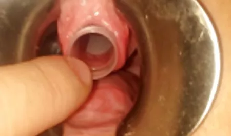 つSluts、彼女を叩き 高橋 しょう 子 エロムビ