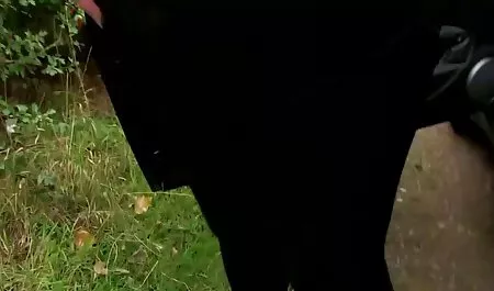 英追素晴らしい えろ ムビ